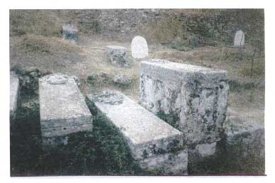 zakinthos jewish dating site Zakynthos: (ionian islands) [zante, zacinto, zakinthos zakynthos jewish cemetery (ionian islands) [zante, zacinto, zakinthos, zanthe. zakinthos jewish dating site Zakynthos: (ionian islands) [zante, zacinto, zakinthos zakynthos jewish cemetery (ionian islands) [zante, zacinto, zakinthos, zanthe.